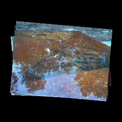 Click to open "Acid Stain Floors"