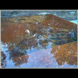 Click to view the previous picture