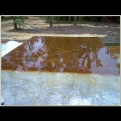 Click to view the next picture