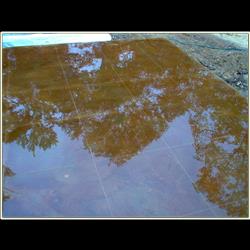 Click to view the next picture