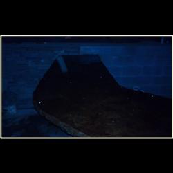 Click to view the next picture