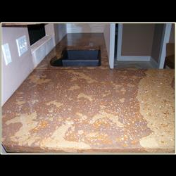 Click to view the next picture