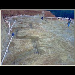 Click to view the previous picture